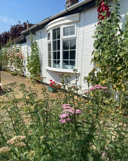 Field Cottage Whittlesey エクステリア 写真