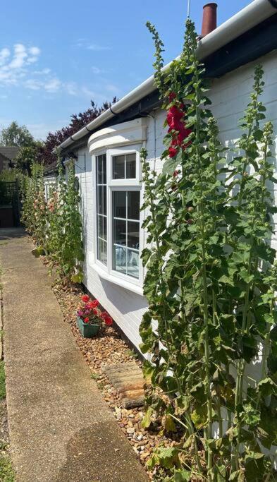Field Cottage Whittlesey エクステリア 写真